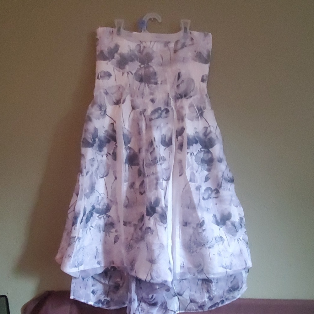 Gorgeous Mini dress/skirt!